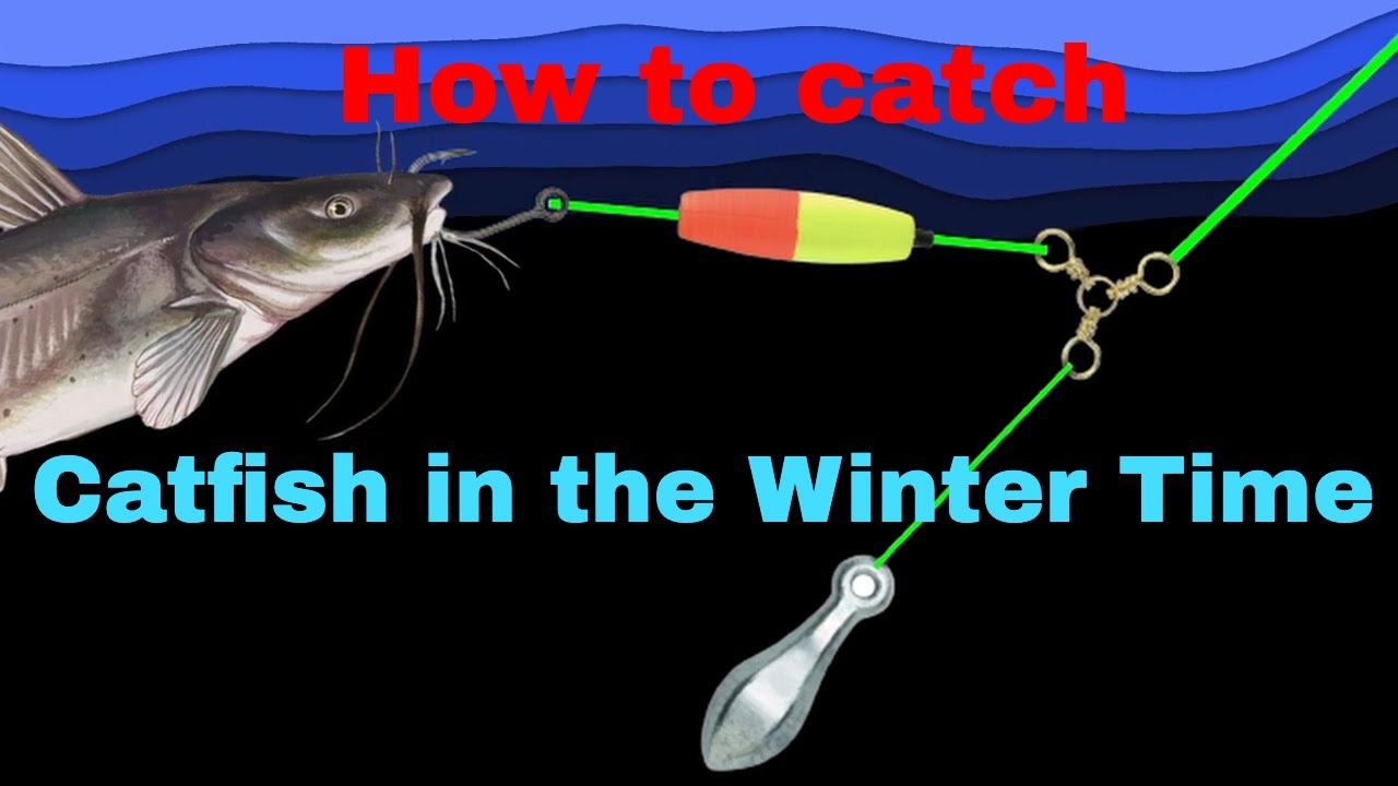 How To Catch Catfish In The Winter Time YouTube how-to-catch-catfish-in-the-winter-time-youtube