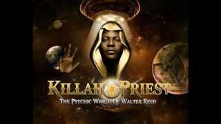 13. Killah Priest - The Spell [The Psychic World Of Walter Reed  CD1]