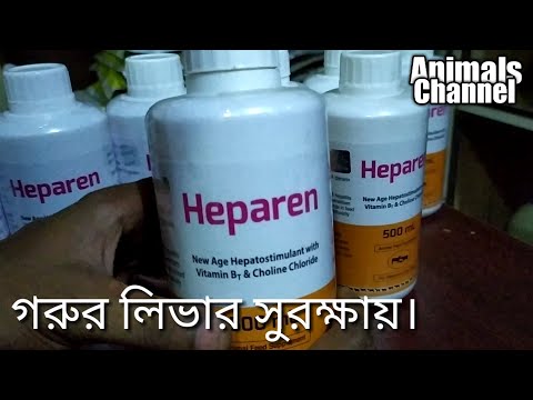 ভিডিও: গরুর মাংসের লিভারের রেসিপিগুলি