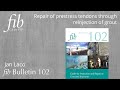 fib Bulletin 102 | Jan Laco | Repair of prestress tendons through reinjection of grout