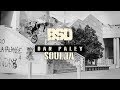 BSD BMX - Dan Paley - Soulja