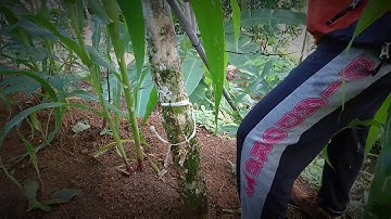 PASANG TOTOLINK N300RH SEBAGAI REPEATER WIFI HOTSPOT OUTDOR #VLOG 5