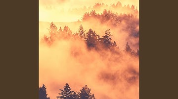 Exciting Moods for Finding Clarity