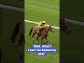 THE CRAZIEST RACE FINISH EVER? 🤣 #horseracing #animals #animalshorts #horse #horses #horseshorts