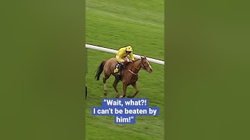 THE CRAZIEST RACE FINISH EVER? 🤣 #horseracing #animals #animalshorts #horse #horses #horseshorts