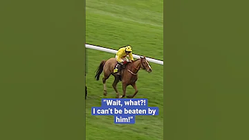 THE CRAZIEST RACE FINISH EVER Horseracing Animals Animalshorts Horse Horses Horseshorts 