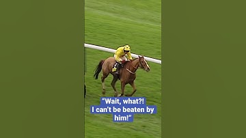 THE CRAZIEST RACE FINISH EVER? 🤣 #horseracing #animals #animalshorts #horse #horses #horseshorts
