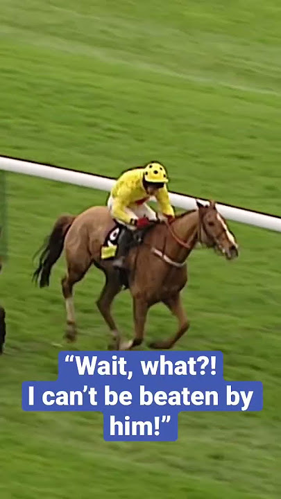THE CRAZIEST RACE FINISH EVER? 🤣 #horseracing #animals #animalshorts #horse #horses #horseshorts