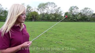 COA Target Stick - French