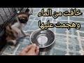 اخيرااا  اتعلمت شرب الماء