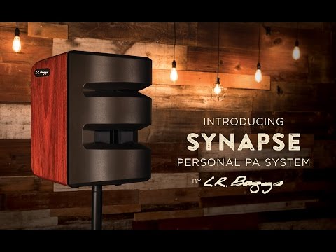 LR Baggs Synapse | Personal PA System