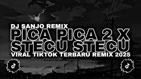 DJ PICA PICA 2 X STECU STECU RE-UPLOAD