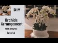 ORCHIDS ARRANGEMENT from Scratch | Tutorial de Orquideas paso a paso