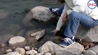 Experiment On Mobile Goes Wrong Total Fail