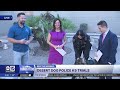 23rd Annual Desert Dog Police K9 Trials Set For Westworld Of Scottsdale