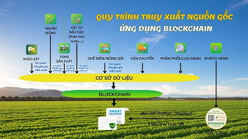 Quy trình Truy xuất nguồn gốc ứng dụng Blockchain