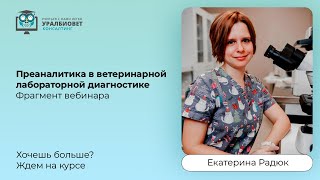 Преаналитика в ветеринарной лабораторной диагностике, лектор Екатерина Радюк