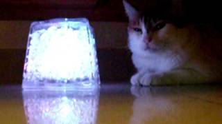 DSCF3328.AVI