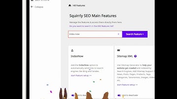 Squirrly WordPress SEO IndexNow and Google Indexing API