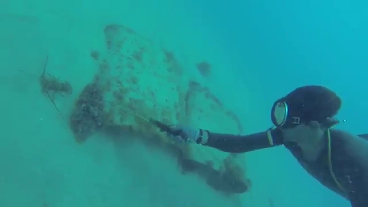 lagostas em arrecifes artificial