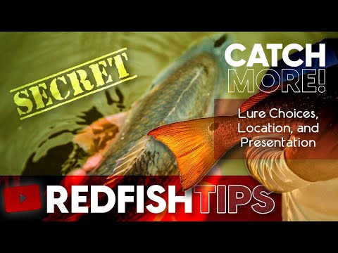 Secret Redfish Tips | How to Catch Red Fish | Red Drum