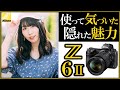 ニコン Z6II ミラーレス一眼カメラ 徹底レビューと勧める理由 【写真と動画にオススメな機材の選び方】