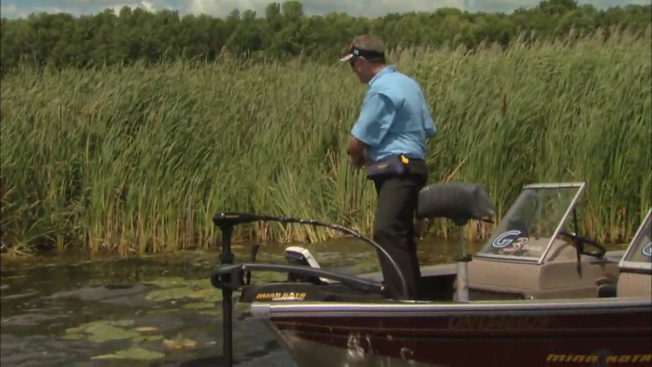 Canadian Sportfishing Fishing heavy cover for largemouth bass, Bay of