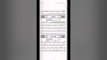 تلاوة سورة ( الزلزلة ، العاديات ) للقارئ سعد الغامدي