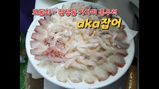 모둠회_ 감성돔 홍우럭 가자미 (aka잡어)
