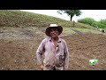 Experiencia de productores del Crucero en siembra de cultivo de frijol. #inta #nicaragua