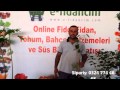 Download Kivi Fidanı Özellikleri ve Online Fidan Satışı Kivi Fidanı Özellikleri ve Online Fidan Satışı