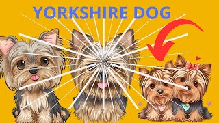 Yorkshire terrier grooming: Tips and tricks for a beautiful coat