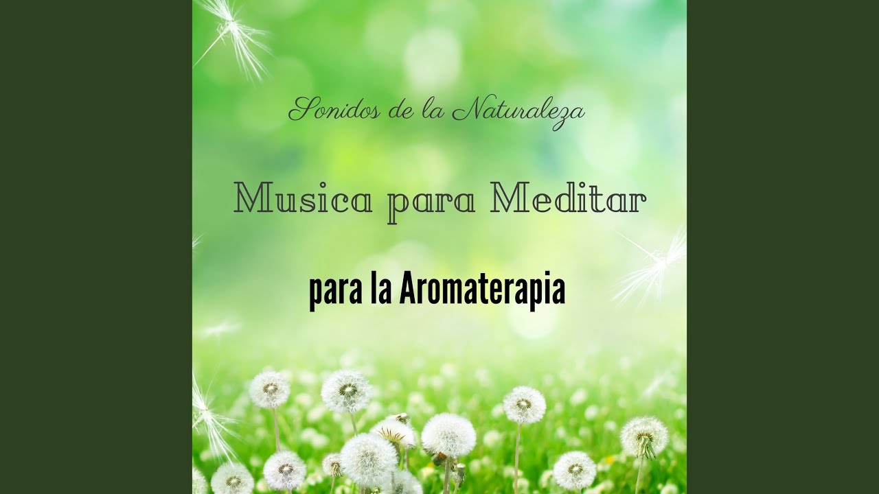Guarda Templo de Oraciones su YouTube