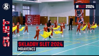 #SLET2024 SKLADBA MRAVENCI (PŘEDŠKOLNÍ DĚTI) SKLADBA 2/12 #sokol