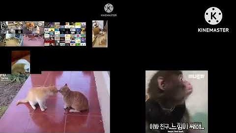 Up To Faster 93 Parison Animals