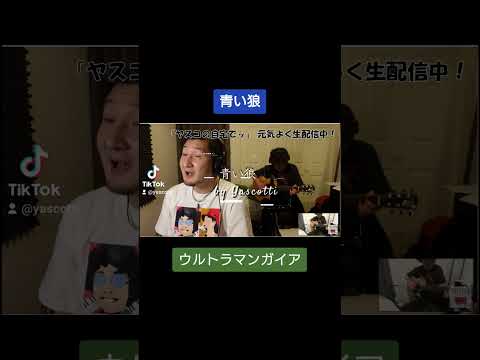 セミコンプ　レアあり！　ポケモンカード　旧裏　希少　ポケモン図鑑No.順　まとめ ポケモン 一覧表 図鑑 セミコンプ レアあり! ポケモンカード 旧