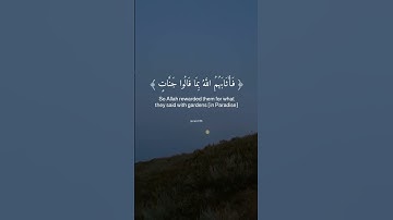 حالات وتس قرآن كريم تلاوه رائعه خاشعه