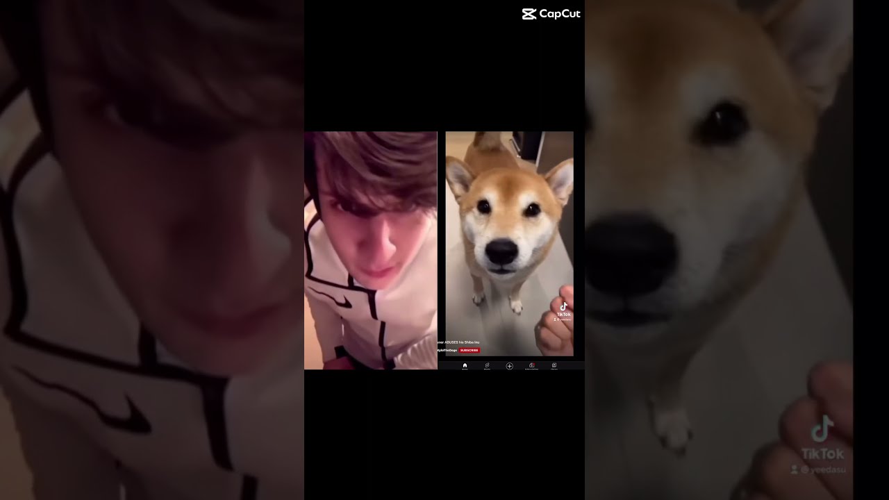 OH DAMN WHAT IS THAT BRUH CAPCUT VIRAL SHORTS W DOG CREDITS TO KyloTheDoge