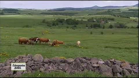 Ardèche - Echappées belles