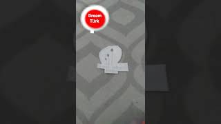 Dream türk akıllı işaretler (genel izleyici kitlesi) jeneriği Resimi