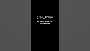 سورة الحج | ياسر الدوسري | Surat Al-Hajj | Yasser Al-Dosari