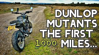 Dunlop Mutants 1000 mile Report #svartpilen401 screenshot 4