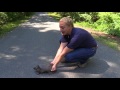 NC Zoo Keeper Shows How to Move a Snapping Turtle