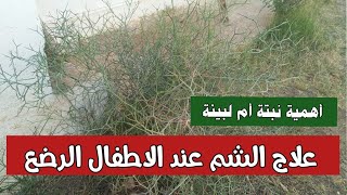 علاج طبيعي للشم عند الاطفال الرضع مجربةبإذن الله