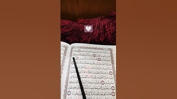 سورة يسٓ آية 41 || الشيخ ياسر الدوسري #القرآن_الكريم#quran 🤍