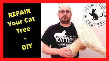 REPAIR Your Store Bought Cat Tree! #cattree #DIY #repair #maker