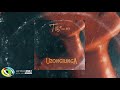 TNS - Uzongilinga [Feat. Fey] Official Audio