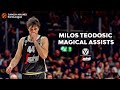 2 minutes 49 seconds of milos teodosic magic