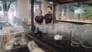 Sacramento bakery blends Mexican-American heritage with inspiration from other cultures