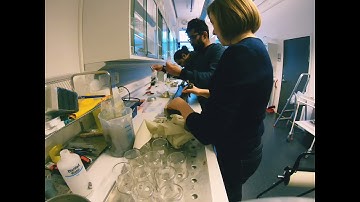 Sediment core subsampling